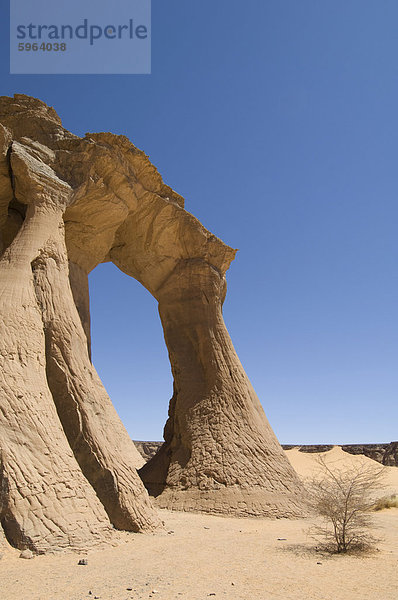 Zinn Ghalega Fels Bildung  Red Rhino Arch  Wadi Teshuinat  Akakus  Sahara Wüste  Fessan  Libyen  Nordafrika  Afrika