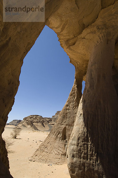 Zinn Ghalega Fels Bildung  Red Rhino Arch  Wadi Teshuinat  Akakus  Sahara Wüste  Fessan  Libyen  Nordafrika  Afrika