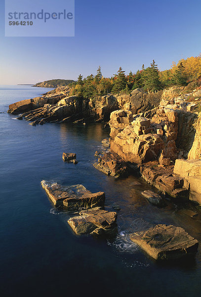 Felsen entlang der Küste in Acadia National Park  Maine  New England  Vereinigte Staaten von Amerika  Nordamerika