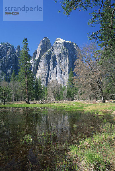 See die Bäume und die Cathedral Rocks in Yosemite National Park  UNESCO World Heritage Site  California  Vereinigte Staaten von Amerika  Nordamerika