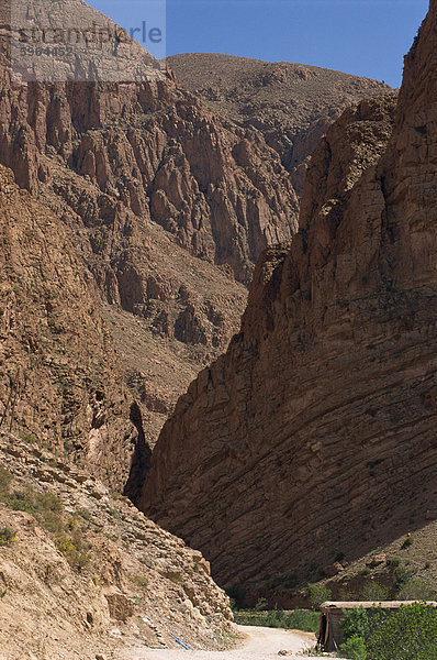 Klippen und engen Tal der Dades-Schlucht  zu der Dades-Tal führt pass Strecke  Marokko  Nordafrika  Afrika