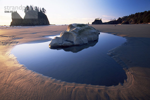 Zweite Beach  Olympic National Park  UNESCO Weltkulturerbe  Washington State  USA  Nordamerika