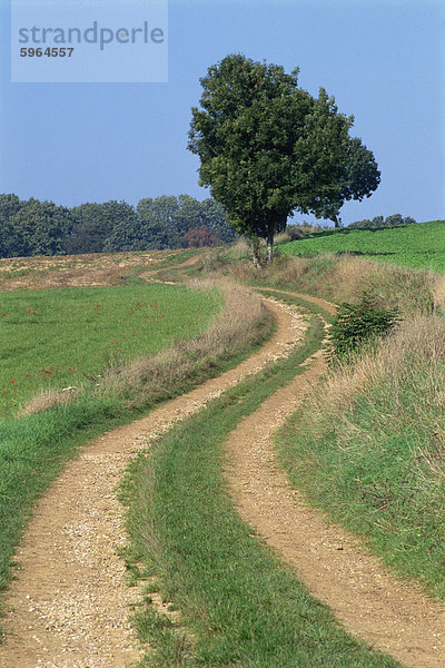 Leeren Ländliche Straße oder Farm Track in landwirtschaftliche Flächen  Picardie (Picardie)  Frankreich  Europa