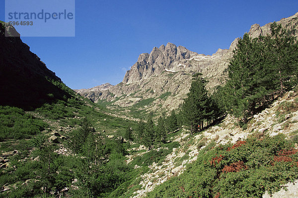 Schluchten De La Restonica  Bergerie de Grottelle  Korsika  Frankreich  Europa