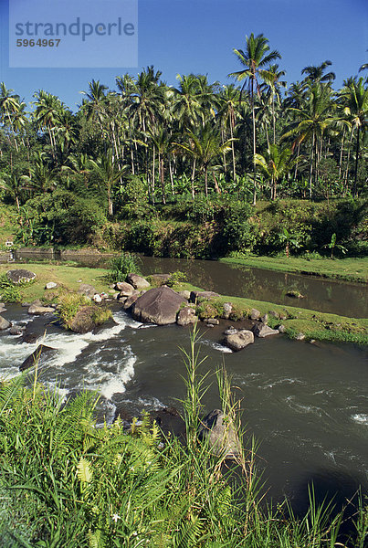 Fluss durchquert Tal mit Palmen an Kupa Kupa Barong  in der Nähe von Ubud  Bali  Indonesien  Südostasien  Asien