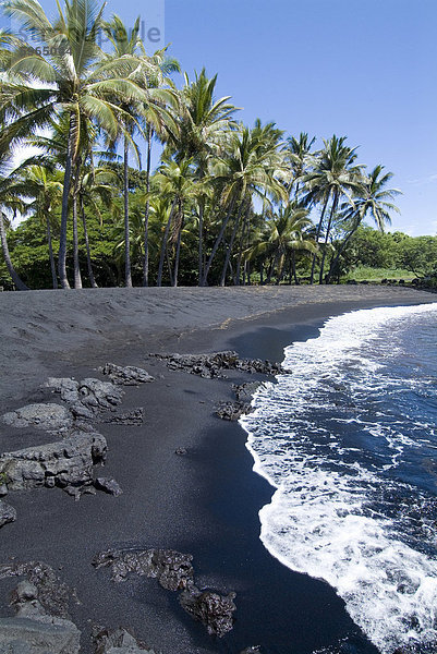 Punaluu Black Sand Beach  Insel von Hawaii (große Insel)  Hawaii  Vereinigte Staaten von Amerika  Pazifik  Nordamerika