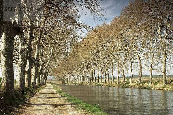 Der Canal du Midi  in der Nähe von Capestang  Languedoc Roussillon  Frankreich  Europa