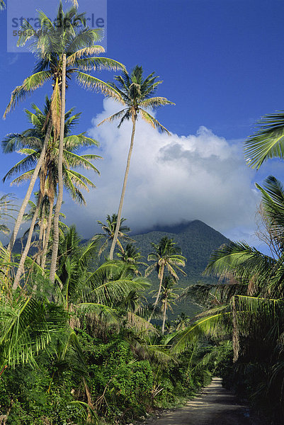 Landschaft  Nevis  Inseln über dem Winde  Westindien  Caribbean  Central America