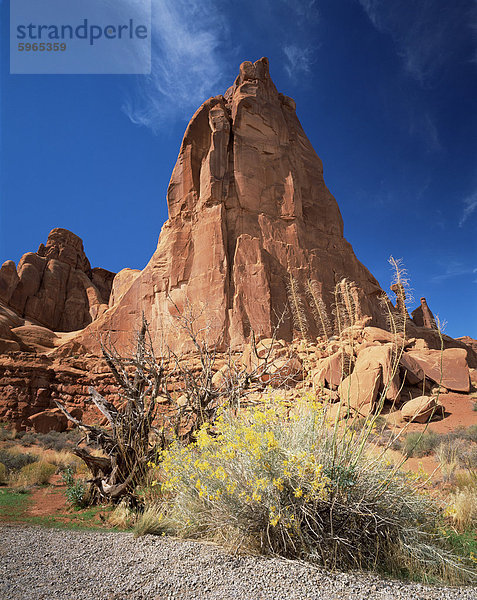 Sandstein Klippen  Arches Nationalpark  Moab  Utah  Vereinigte Staaten  Nordamerika