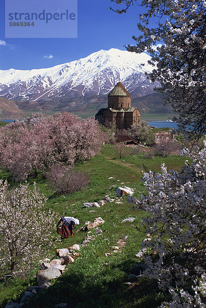 Abbildung am Arbeitsplatz unterhalb der armenischen Kirche des Heiligen Kreuzes  auf der Insel Akdamar neben Van-See  Anatolien  Türkei  Kleinasien  Eurasien