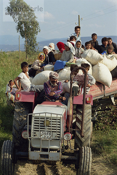Männer Frauen und Kinder auf einen Traktor mit Ballen Baumwolle zur Erntezeit in der Nähe von Milet in Anatolien  Türkei  Kleinasien  Eurasien