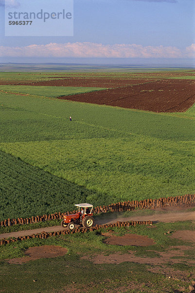 Traktor und Felder in der Nähe von Diyarbakir in Kurdistan  Anatolien  Türkei  Kleinasien  Eurasien