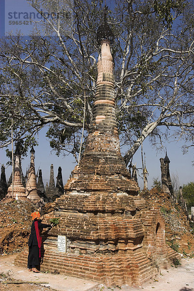 PA-O-Guide Unkraut aus einem Stupa  Kakku buddhistische Ruinen  eine Seite von über zweitausend Backstein und Laterit Stupas  ziehen einige aus dem 12. Jahrhundert  Shan State  Myanmar (Birma)  Asien