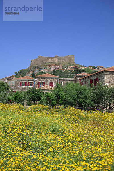 Burg über der Stadt von Molyvos  Lesbos  Nördliche Ägäis  griechische Inseln  Griechenland  Europa