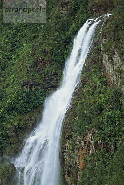 Tausend Fuß Wasserfall über das Mountain Pine Ridge  Belize  Mittelamerika