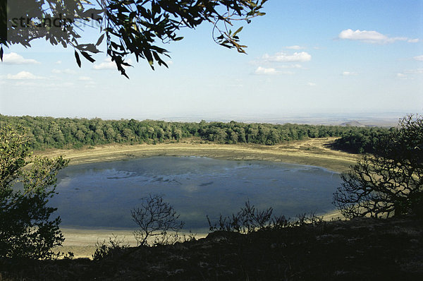 Lake Paradise  Marsabit-Nationalpark und Reserve  Kenia  Ostafrika  Afrika