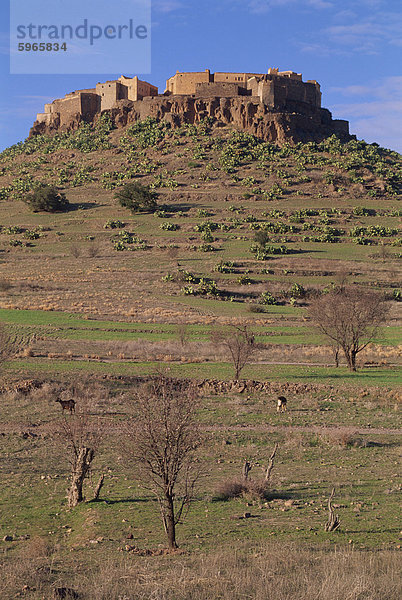 Befestigte Berber Dorf des Tioulit aus dem 6. Jahrhundert  Tafraoute Region  Marokko  Nordafrika  Afrika