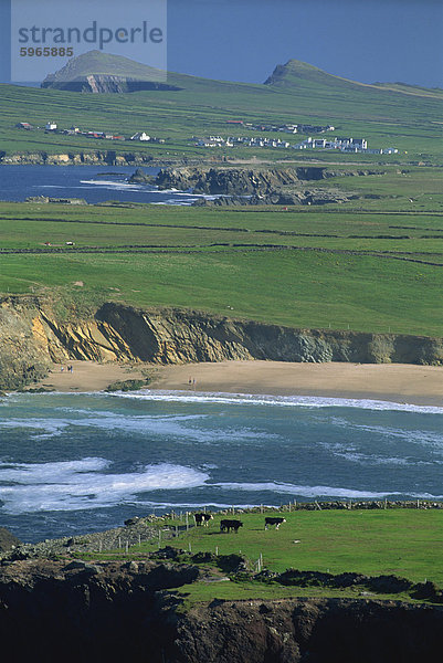 Luftaufnahme der Halbinsel Dingle  County Kerry  Munster  Irland  Europa