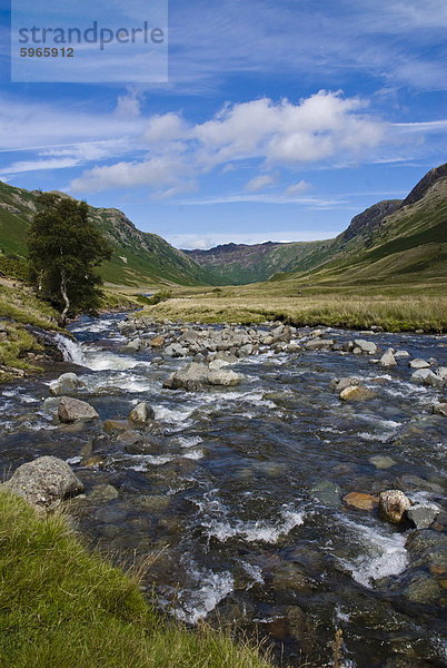 Stonethwaite Valley  Lake District  Cumbria  England  Vereinigtes Königreich  Europa