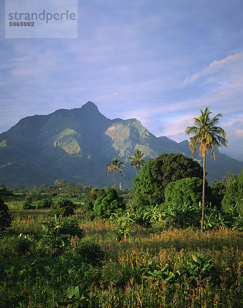 Landschaft in der Abenddämmerung  Tansania  Ostafrika  Afrika