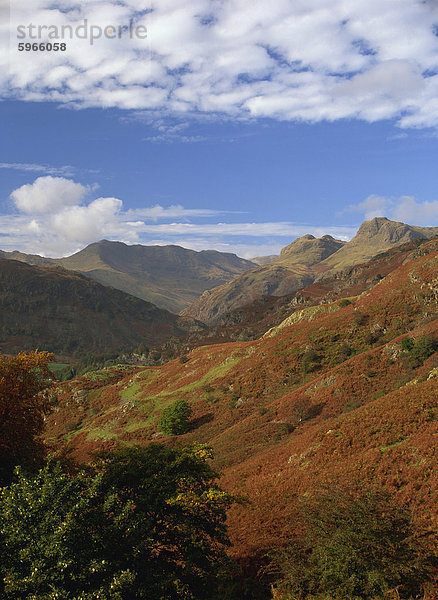 Langdale Tal und Pikes mit Bowfell und Crinkle Crags jenseits  Elterwater  Lake District-Nationalpark  Cumbria  England  Vereinigtes Königreich  Europa