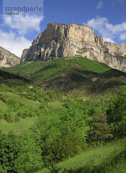 Landschaft mit Bäumen und Bergen in den Cirque d'Archiane nahe sterben in der Drome  Rhone-Alpes  französische Alpen  Frankreich  Europa