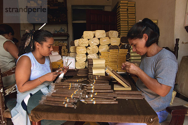 Kennzeichnung und Verpackung von Zigarren  Santo Domingo  Dominikanische Republik  Mittelamerika