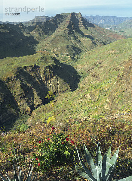 Barranco de Fataga  Blick nach Norden von einem Aussichtspunkt in Richtung Cumbre de Trujillo  1146m  Barranco de Fataga  Gran Canaria  Kanarische Inseln  Spanien  Europa