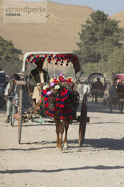 Bunte Pferdewagen  Maimana  Provinz Faryab  Afghanistan  Asien