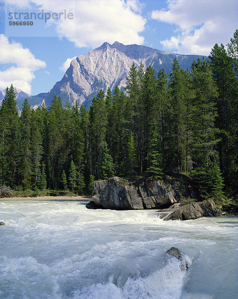 Fluss in den Rocky Mountains  Kanada  Nordamerika
