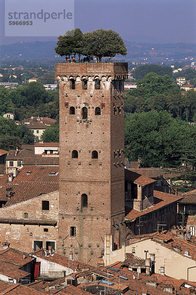 Tour des Guinigi  Lucca  Toskana  Italien  Europa