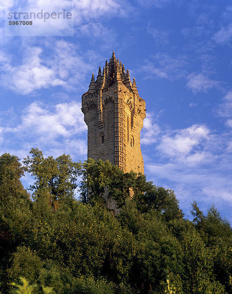 Wallace National Monument  220 ft hoch  errichtet in den 1860er Jahren als Tribut an den Nationalhelden  Stirling  Schottland  Vereinigtes Königreich  Europa