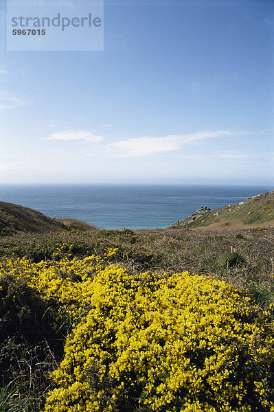 Logan Rock  Cornwall  England  Vereinigtes Königreich  Europa