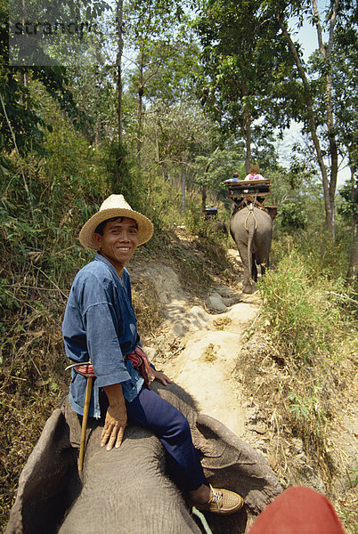 Touristen nehmen Elefanten reiten auf Elefanten Show  in der Nähe von Chiang Mai  Thailand  Südostasien  Asien