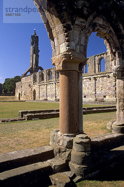 St. Rule Turm aus dem Priorat St. Andrews Kathedrale aus dem 14. Jahrhundert  St. Andrews  Fife  Schottland  Vereinigtes Königreich  Europa