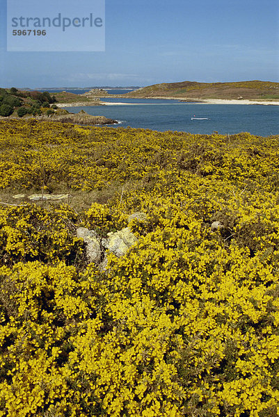 St. Agnes  Inseln von Scilly  Vereinigtes Königreich  Europa