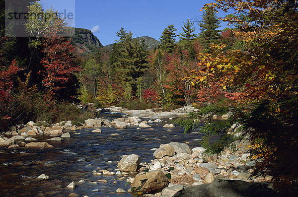 Die Swift River im Herbst (Herbst)  auf dem Kangamagus Highway  White Mountains National Forest  New Hampshire  New England  Vereinigte Staaten  Nordamerika