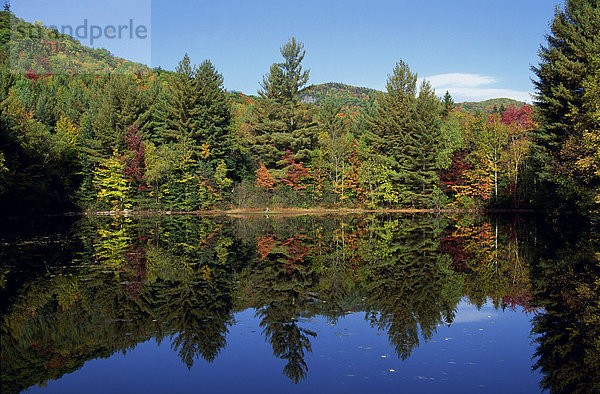Ruhige Szene der Bäume im (Herbst) Herbstlaub spiegelt sich in einem See  in der Nähe von Jackson  New Hampshire  New England  Vereinigte Staaten von Amerika  Nordamerika