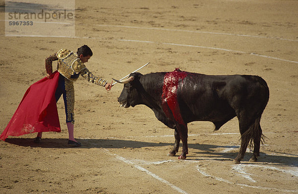 Matador mit roten Umhang und Verwundeten Stier Blutungen während ein Stierkampf in Arles  Bouches du Rhône  Provence  Frankreich