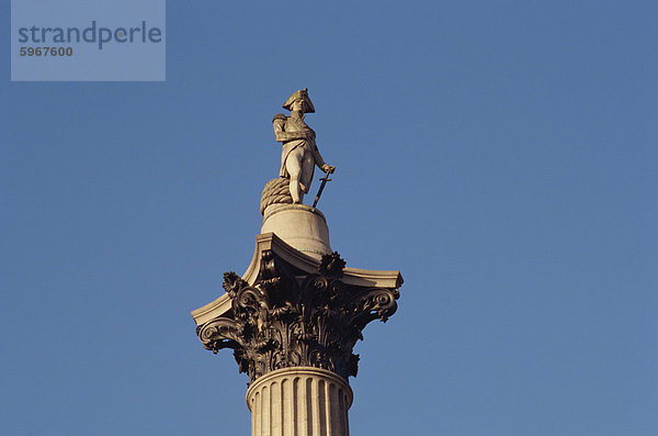 Nelsons Spalte  Trafalgar Square  London  England  Vereinigtes Königreich  Europa