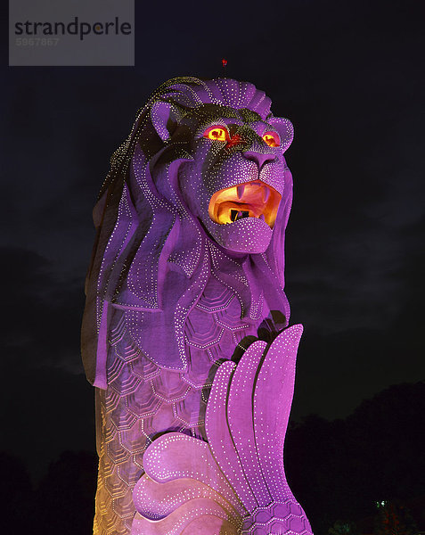 Der Merlion Statue  das Symbol von Singapur  in lila Licht in der Nacht in Singapur  Südostasien  Asien