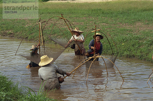 Frauen  die Fischerei mit Netzen in einem Fluss in der Nähe von Chiang Mai  Thailand  Südostasien  Asien