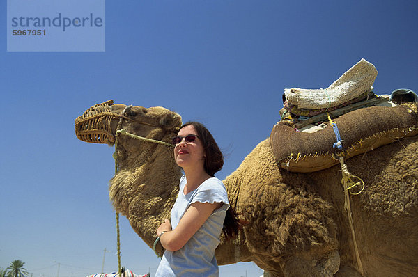 Touristische und Kamel  Tunesien  Nordafrika  Afrika