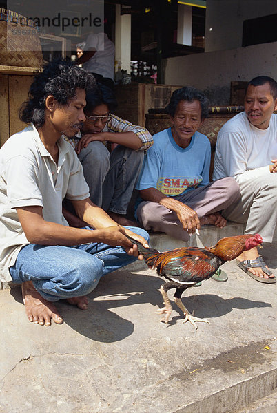 Vogelmarkt  Jogjakarta  Java  Indonesien  Südostasien  Asien