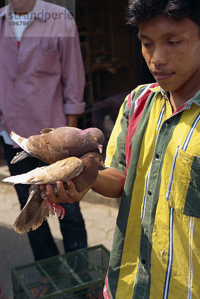 Vogelmarkt  Jogjakarta  Java  Indonesien  Südostasien  Asien