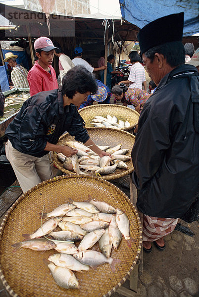 Fisch Markt  Rantepao  Toraja Region  Sulawesi  Indonesien  Südostasien  Asien