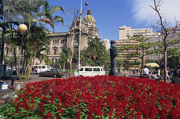 Helle Blumen vor das Rathaus der Stadt Durban  Natal  Südafrika  Afrika