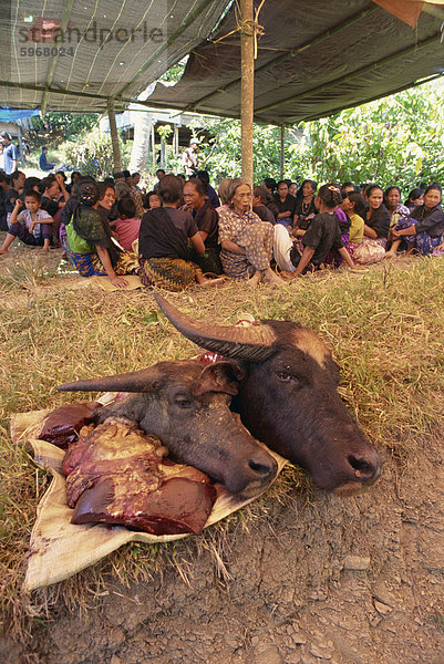 Traditionelle Toraja Beerdigung  Sulawesi  Indonesien  Südostasien  Asien