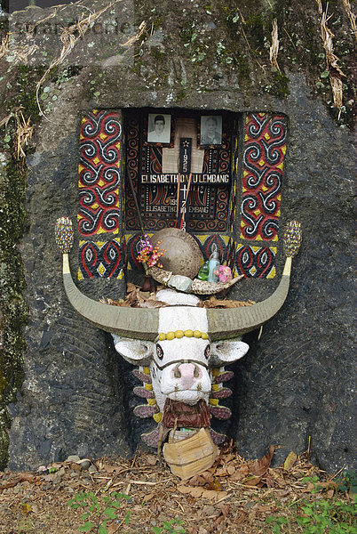 Toraja Region  Sulawesi  Indonesien  Südostasien  Asien