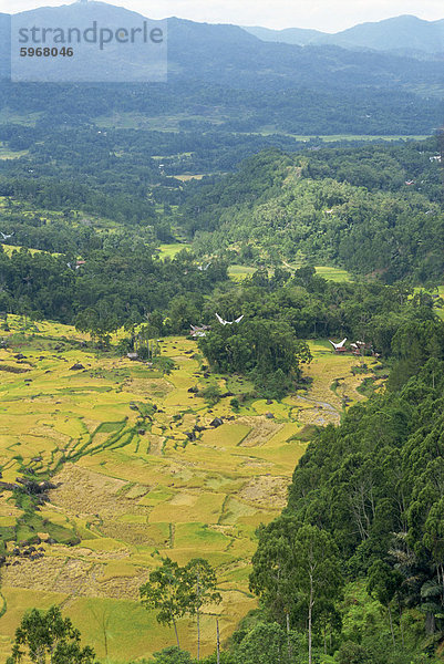 Berge und Tal  Toraja Bereich  Sulawesi  Indonesien  Südostasien  Asien